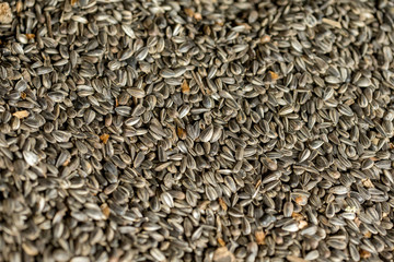 Dried sunflower seeds texture background