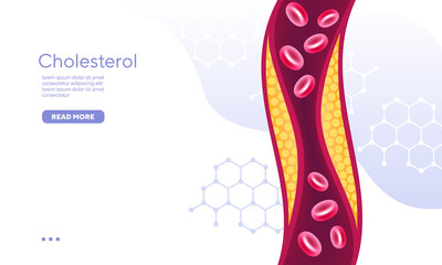 Organic compound red blood cell cholesterol vector illustration