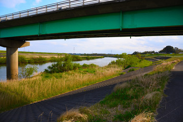 Fototapeta premium 橋