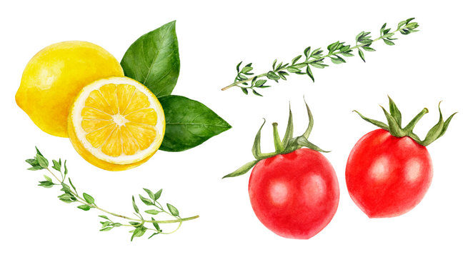 Background white fresh lemon cherry tomatoes thyme organic food preparing set watercolor isolated on white background