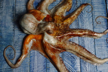 Pulpo fresco recién pescado sobre un tablero azul