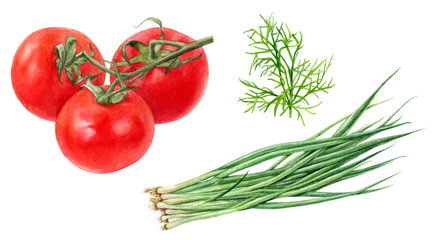 Cherry tomatoes green onion dill salad set watercolor isolated on white background