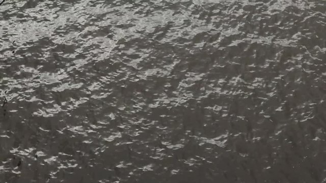 Murky water moving through a river or harbor.