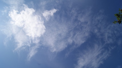 fluffy white clouds in the blue sky