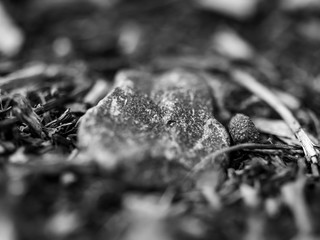 close up of a stone