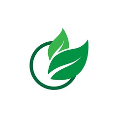 Green leaf ecology nature element vector template