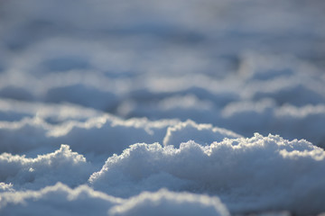 Makro śnieg © Dominik