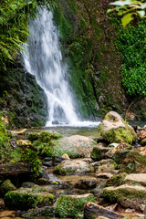 Fototapeta na wymiar waterfall at Mclaren falls in New Zealand