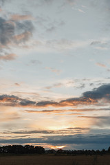 Sunrise on the field with the place for your text
