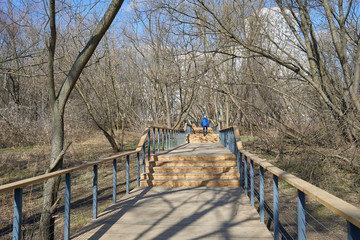 Wooden stairs in the park