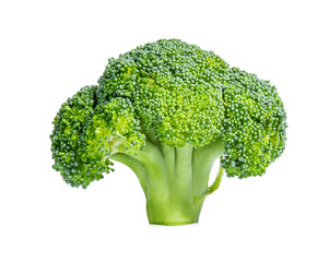 Fresh broccoli in closeup isolated on white background