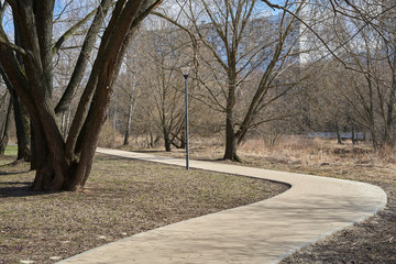 Pedestrian walkway in the park