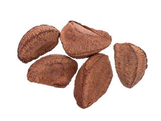 Studio shot of natural brazil nuts in shells isolated on white background.