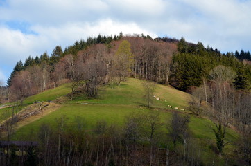 Obraz premium Blick von St. Ulrich aufs Geiersnest