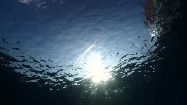 jellyfish underwater with sun beam and sun ray ocean scenery