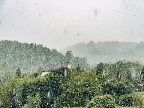 Schneefall im Fr&uuml;hsommer mit gr&uuml;nen B&auml;umen