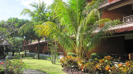 Souvenirs d'un voyage &agrave; Bali en Indon&eacute;sie