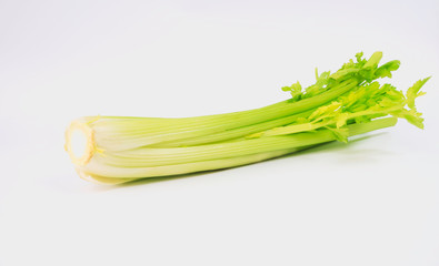 Green of Celery isolated on white background