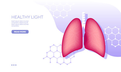 Healthy lung dna cells vector illustration
