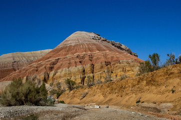 Fototapeta premium Colored, layered Aktau mountains in Kazakhstan among saxaul bushes.