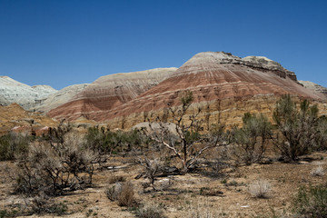 Colored, layered Aktau mountains in Kazakhstan among saxaul bushes.