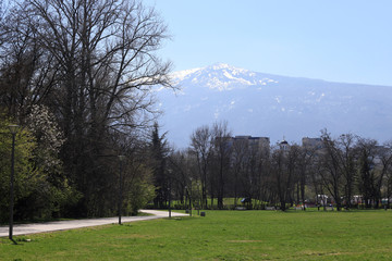 Fototapeta na wymiar View of mountain Vitosha, Bulgaria. Empty South park with empty benches as prevention from coronavirus Covid-19 disease. Closed park for restriction during quarantine.