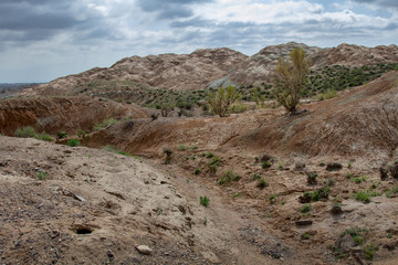 Colored, layered Aktau mountains in Kazakhstan among saxaul bushes.