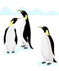 Emperor penguins on white background. Antarctic nature. Vector illustration.