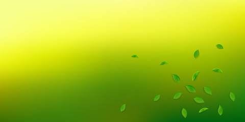 Falling green leaves. Fresh tea random leaves flyi