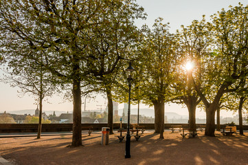 Basel, Pfalz, Münster, Münsterplatz, Kirche, Altstadt, Basel-Stadt, Grossbasel, Rhein, Fluss, Aussichtspunkt, Stadtrundgang, Frühling, Schweiz © bill_17