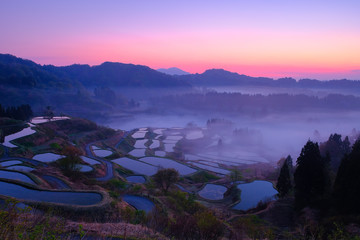 星峠の棚田