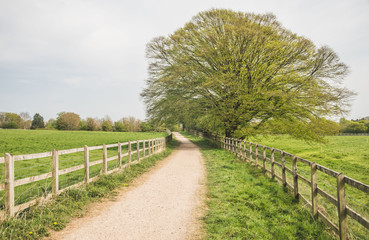 Public Footpath in the UK Countryside