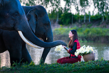 Fototapeta premium The girl and the elephant are carrying flowers. The elephants gave flowers to young women by the river.