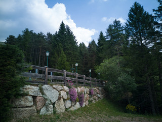 Fototapete bei efototapeten.de bestellen   