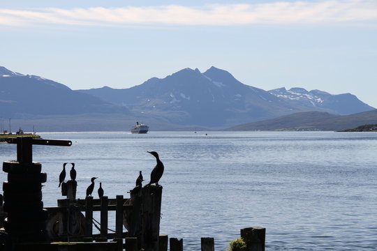  tromso tromsø  water travel tourism sea coast nature port blue landscape sky harbor architecture europe boatship mountain summer bay view city beautifull 