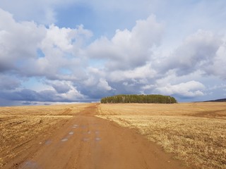 Country dirt road in the field