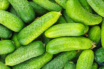 Cucumbers background