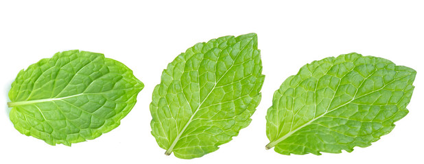 green mint pepper leaf isolated on white background