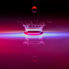 water drop on red