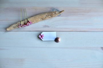 copy space background calming relaxing zen scene of scented flowers and candles , sea shells and reading while relaxing 