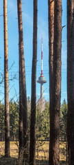 TV tower among the trees