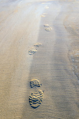 Traces of a man walking along a sandy beach in sneakers.