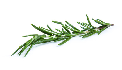 rosemary isolated on white background (Mix, set , collection)