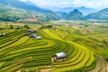 Fototapeta na wymiar Beautiful step of rice terrace paddle field in sunset and dawn at Tu Le valley, Mu Cang Chai, Vietnam. Mu Cang Chai is beautiful in nature place in Vietnam, Southeast Asia. Travel concept.
