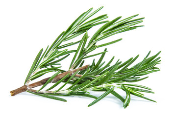 Fototapeta premium rosemary isolated on white background (Mix, set , collection)