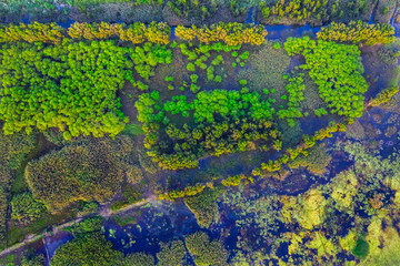 Aerial view of Van Long National Park,  wetlands in Ninh Binh, Viet Nam - Image