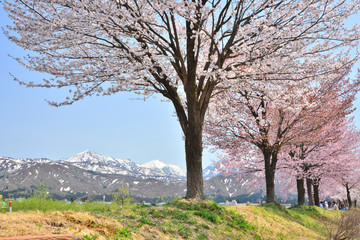 残雪の越後三山
