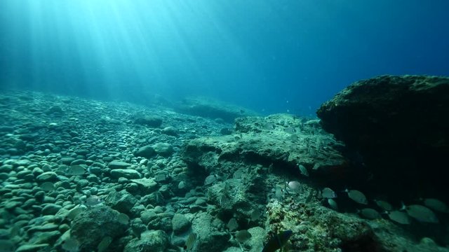underwater fish scenery with sun beams rays and sunshine pcean scenery