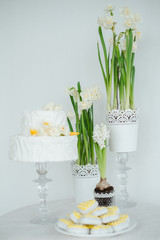 white cake hyacinths and yellow daffodils on the table