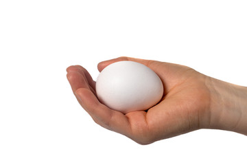 Fototapeta na wymiar White chicken egg in the palm of a woman's hand. Egg Isolate.
